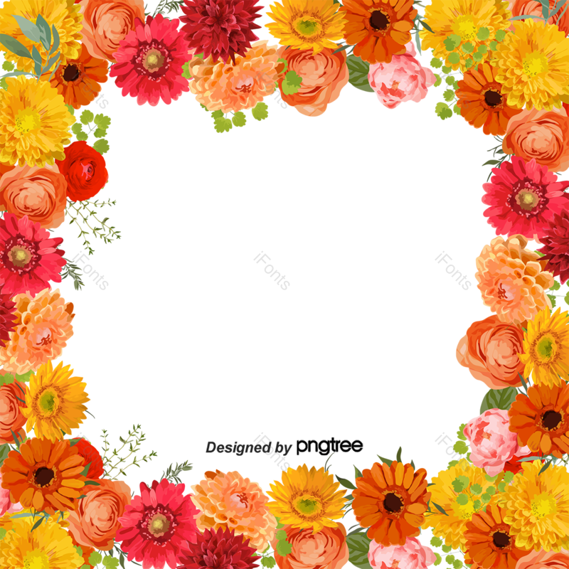 菊花图片,玫瑰元素,雏菊PNG,红色免抠素材